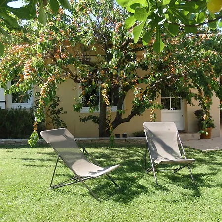 Grand Au Calme Proche D'avignon * Lirac