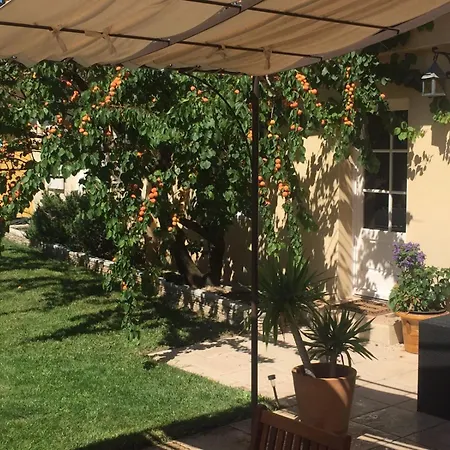 Grand Au Calme Proche D'avignon * Lirac