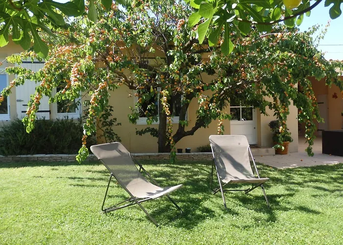 Grand Au Calme Proche D'avignon * Lirac